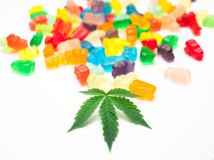Start Low, Go Slow: Your 2026 Guide to THC Potency
