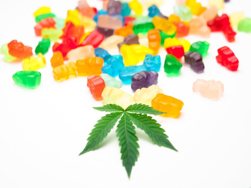 Start Low, Go Slow: Your 2026 Guide to THC Potency