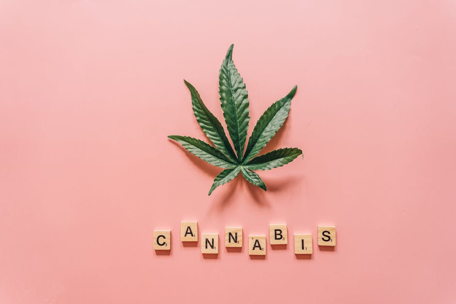 What to Do If Your Friend Gets Too High: Calm & Smart Steps