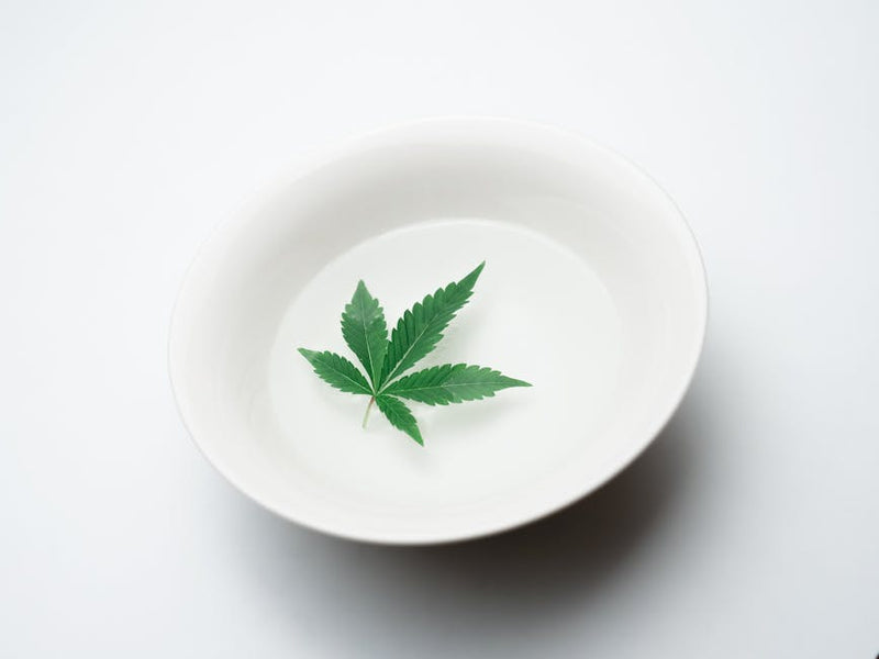 Hydration and Cannabis: The Connection Nobody Talks About