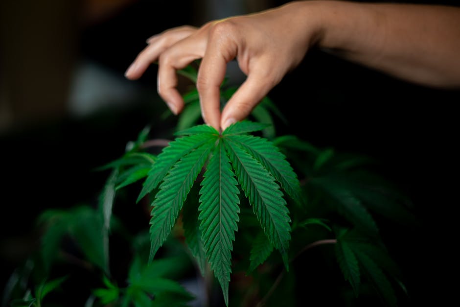 How to Talk to Friends About Getting Too High: A Supportive Guide